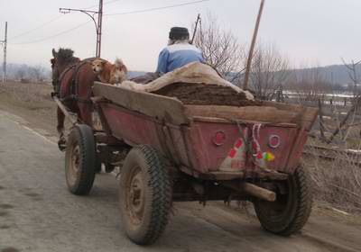 Pferdefuhrwerk, in Rumänien immer noch ein ganz normales Transportmittel 